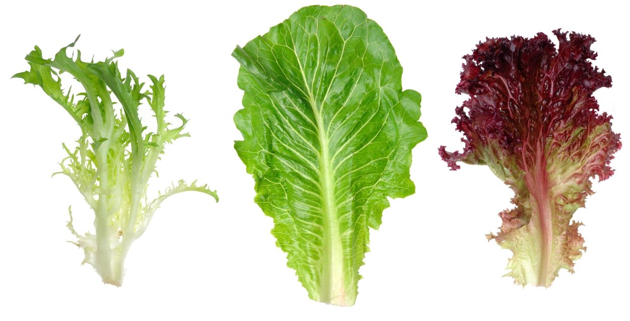 Салат красный Ромен