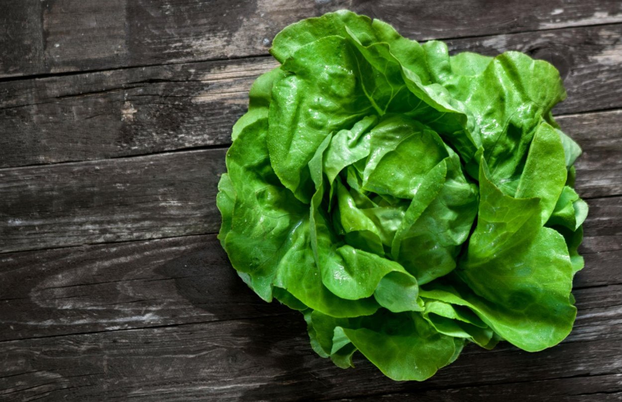 Латук Ромео