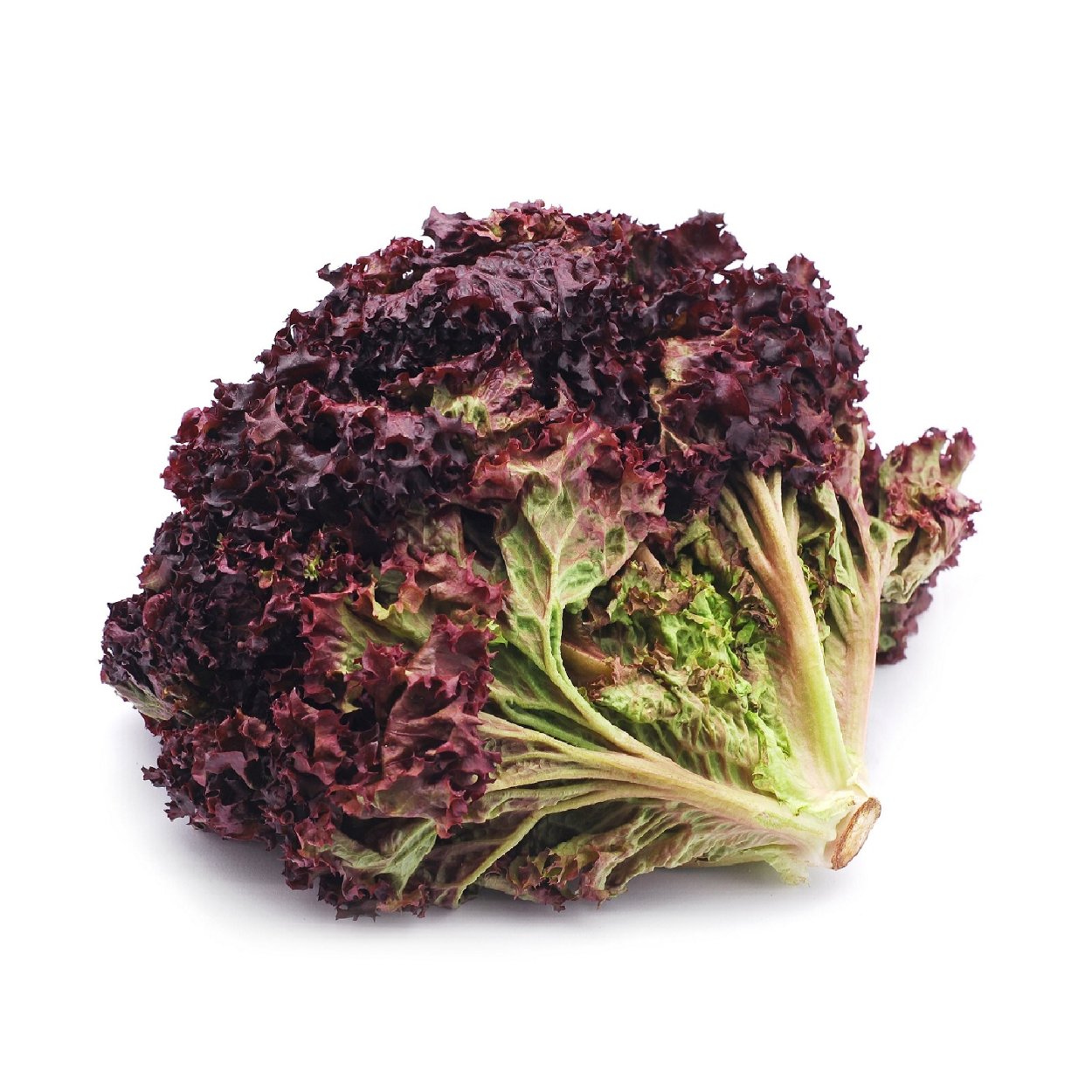 Лолло Россо