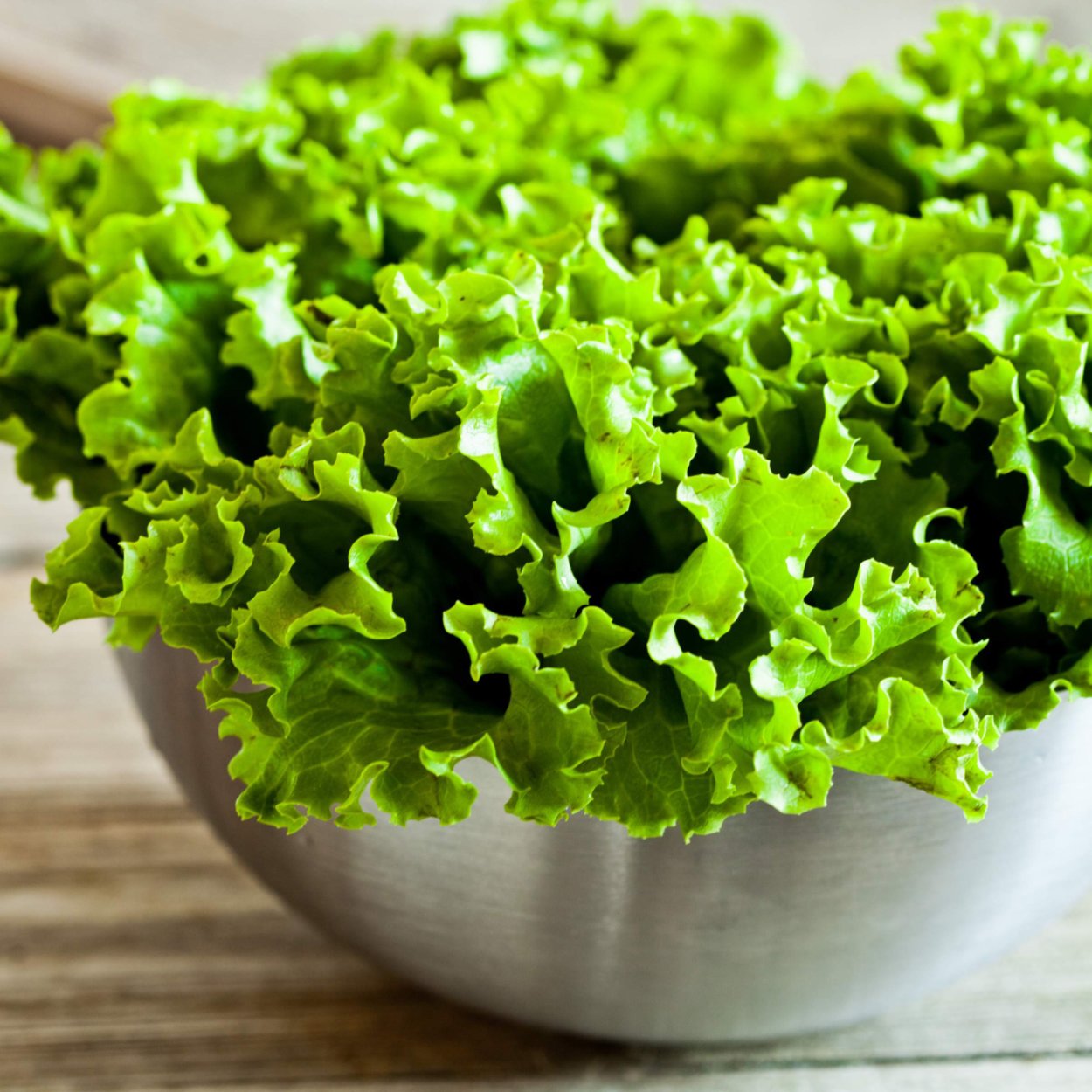 Салат листовой