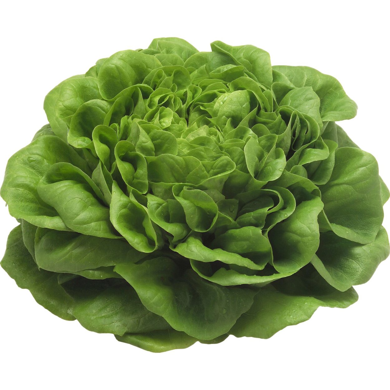 Салат латук 1кг