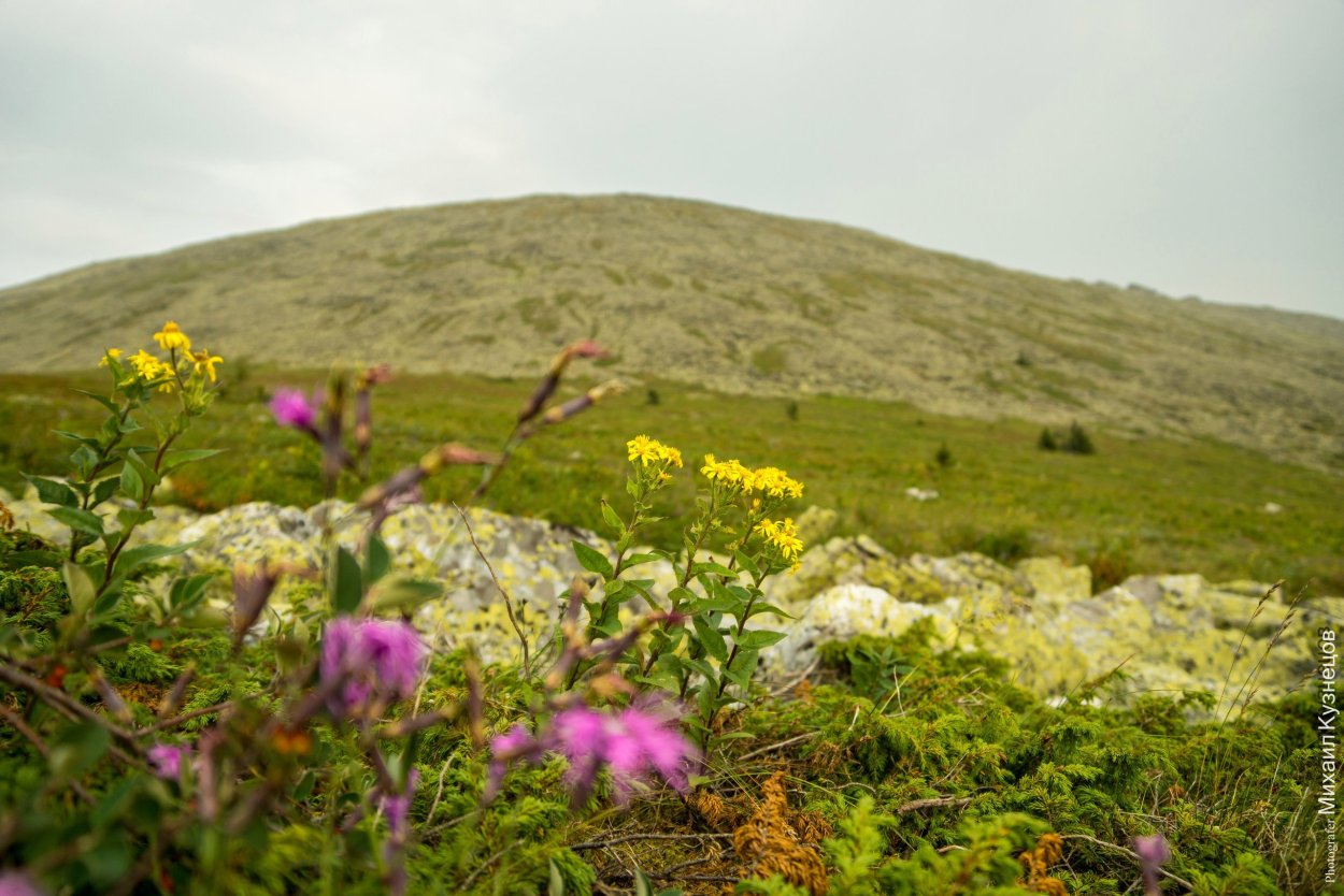 Национальный парк Башкирия Флора