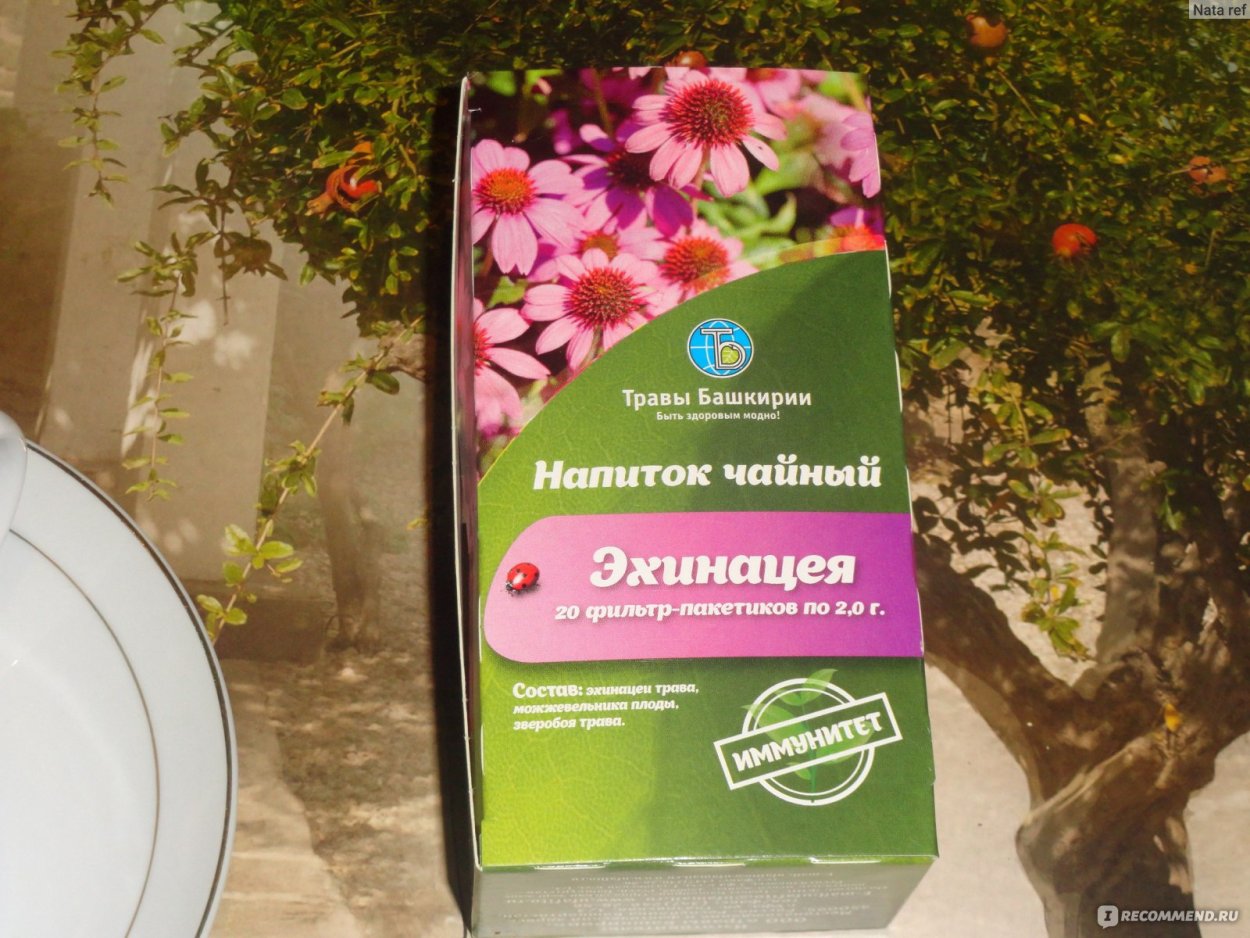 Иван-чай узколистный