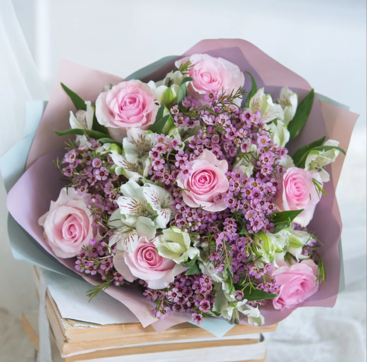 Хамелациум Ваксфлауэр