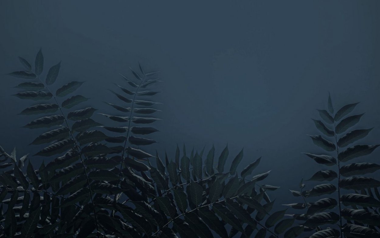 Тропические листья