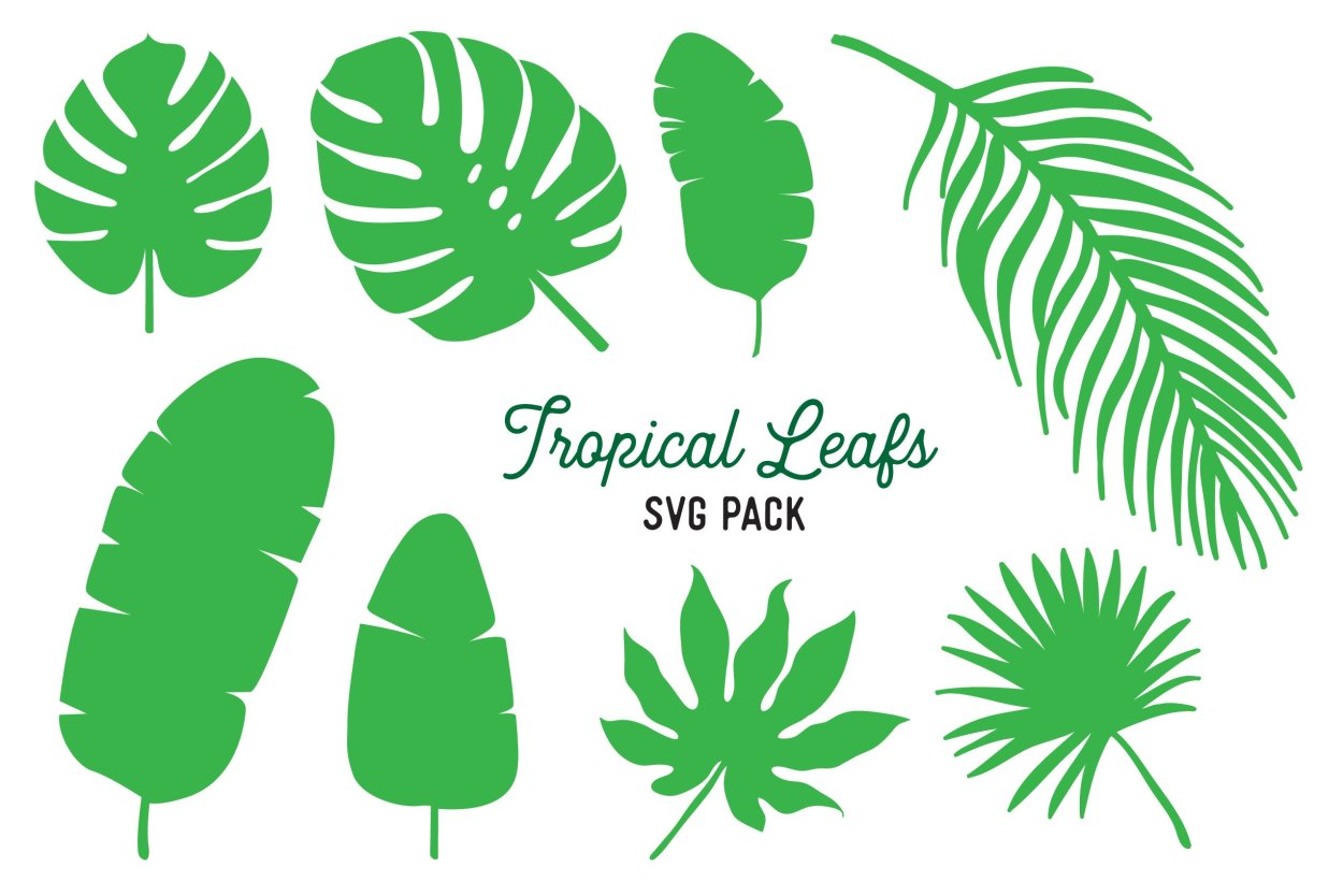 Tropic Leaf vector