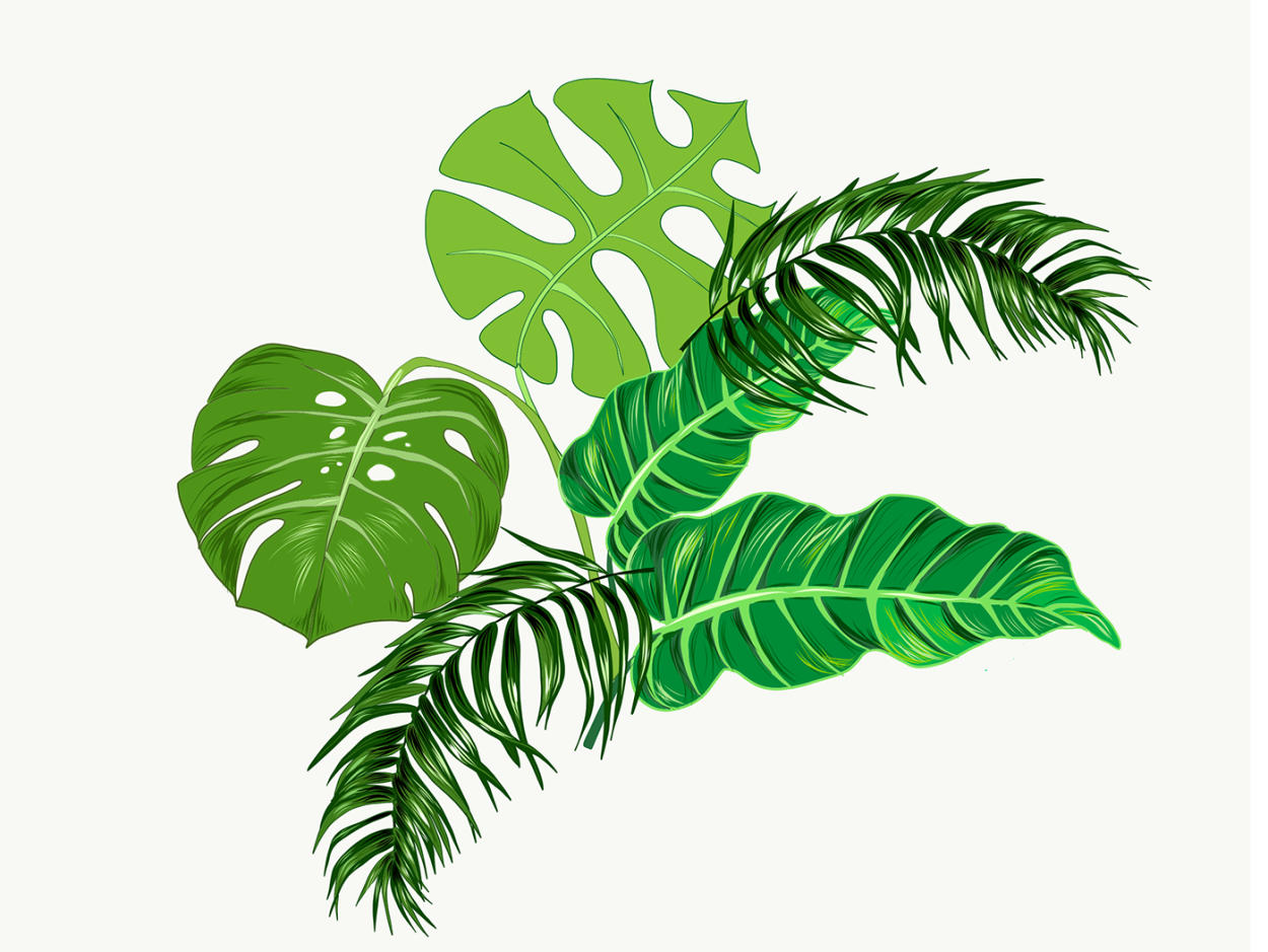 Композиция из тропических листьев