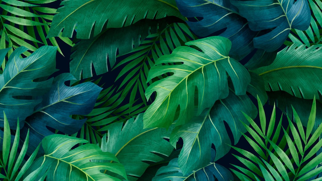 Обои на рабочий стол тропические листья