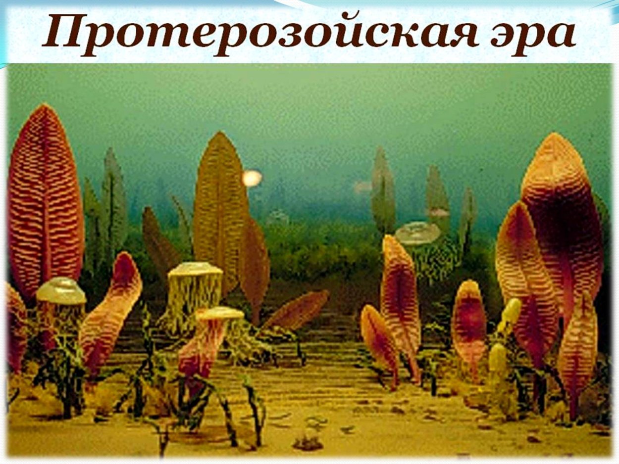 Цвет бурой водоросли Kelp