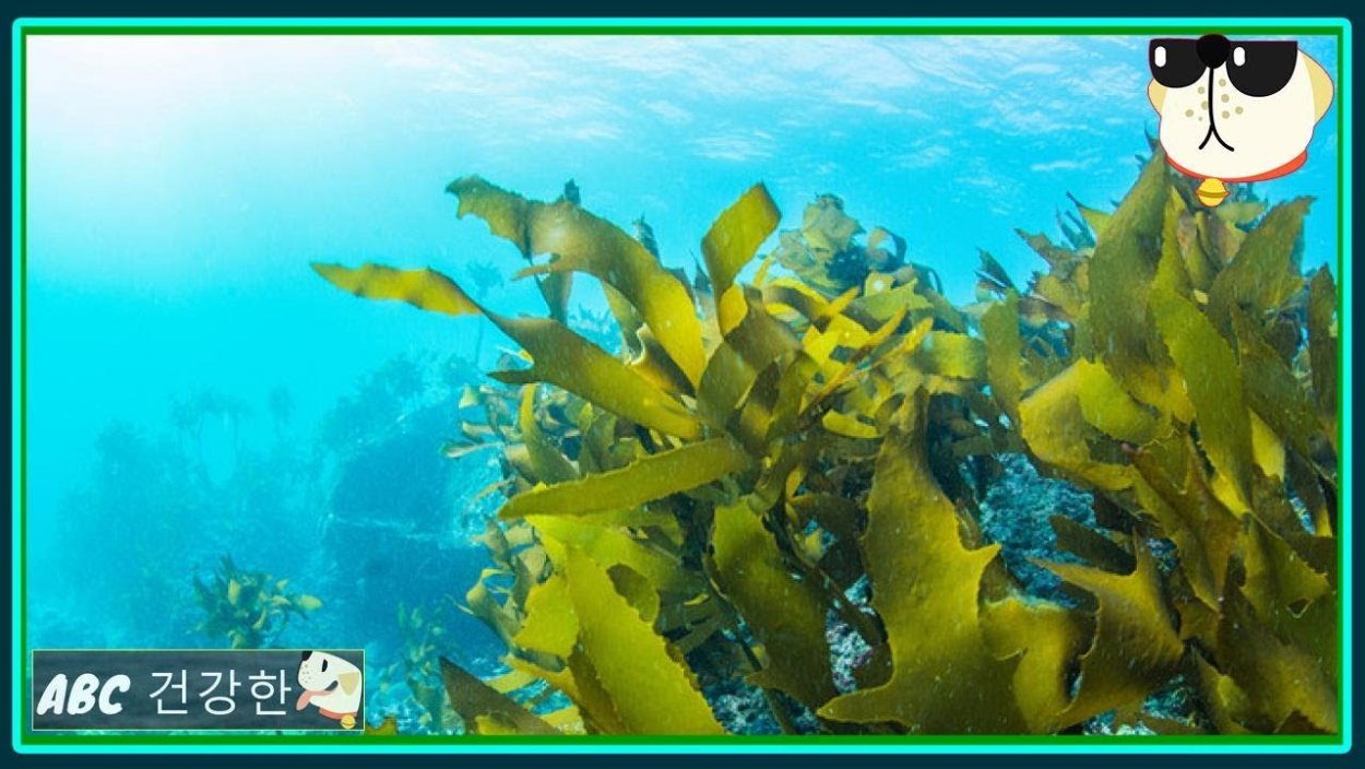 Древние окаменевшие растения