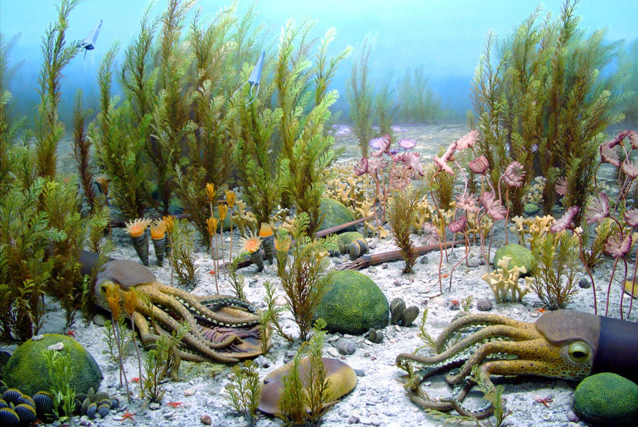 Коллоидный сад химические водоросли