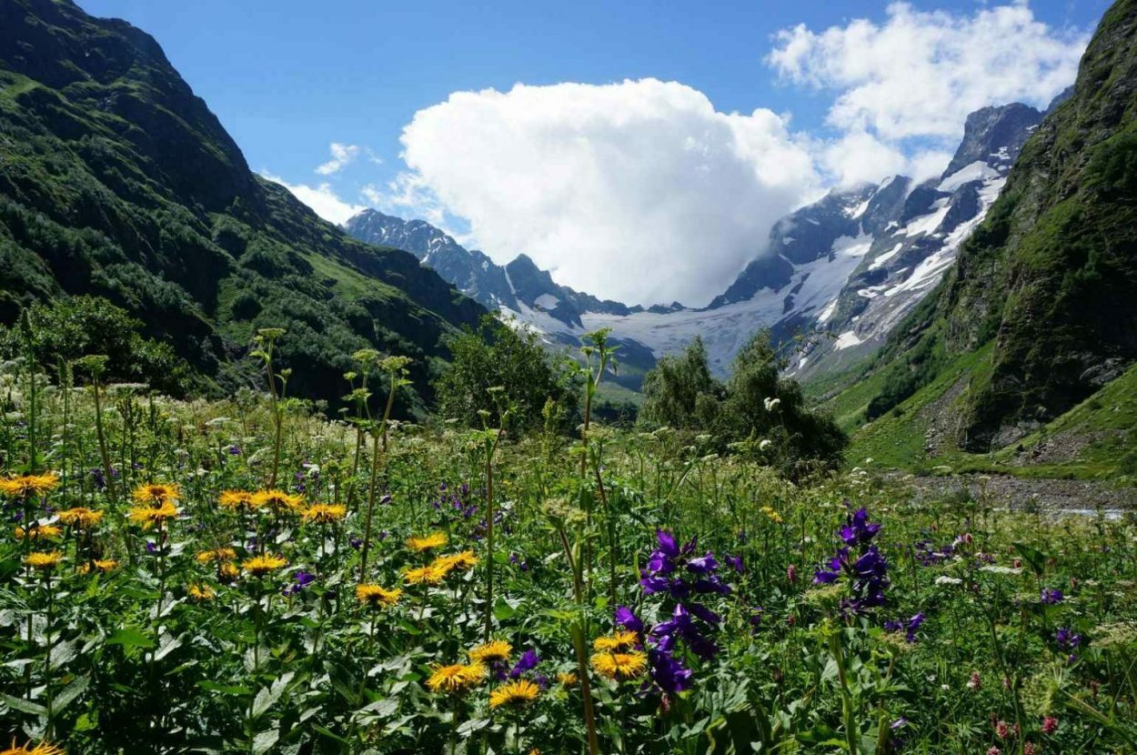 Тебердинский заповедник Домбай