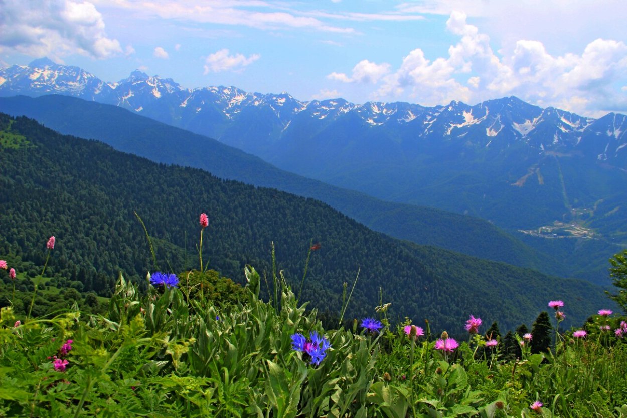 Экотропа Альпийские Луга красная Поляна