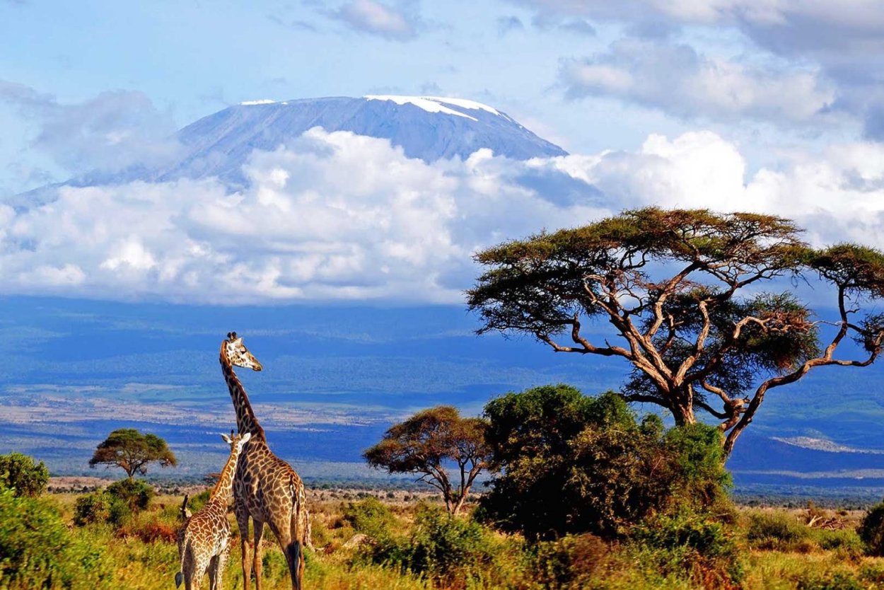 Мадагаскар Африка