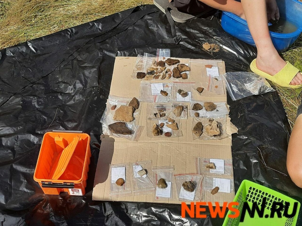 Гармала обыкновенная