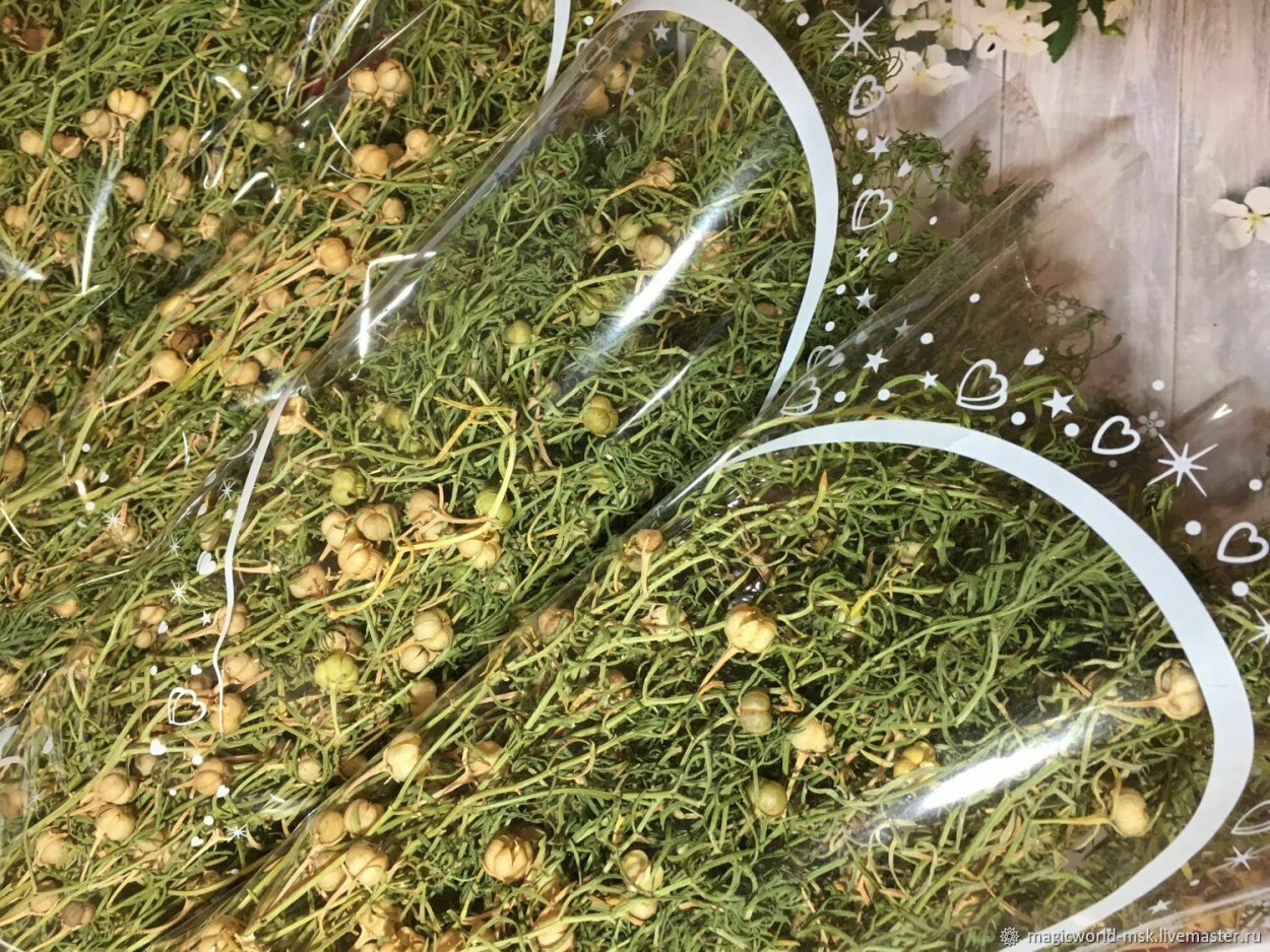 Гармала цветок