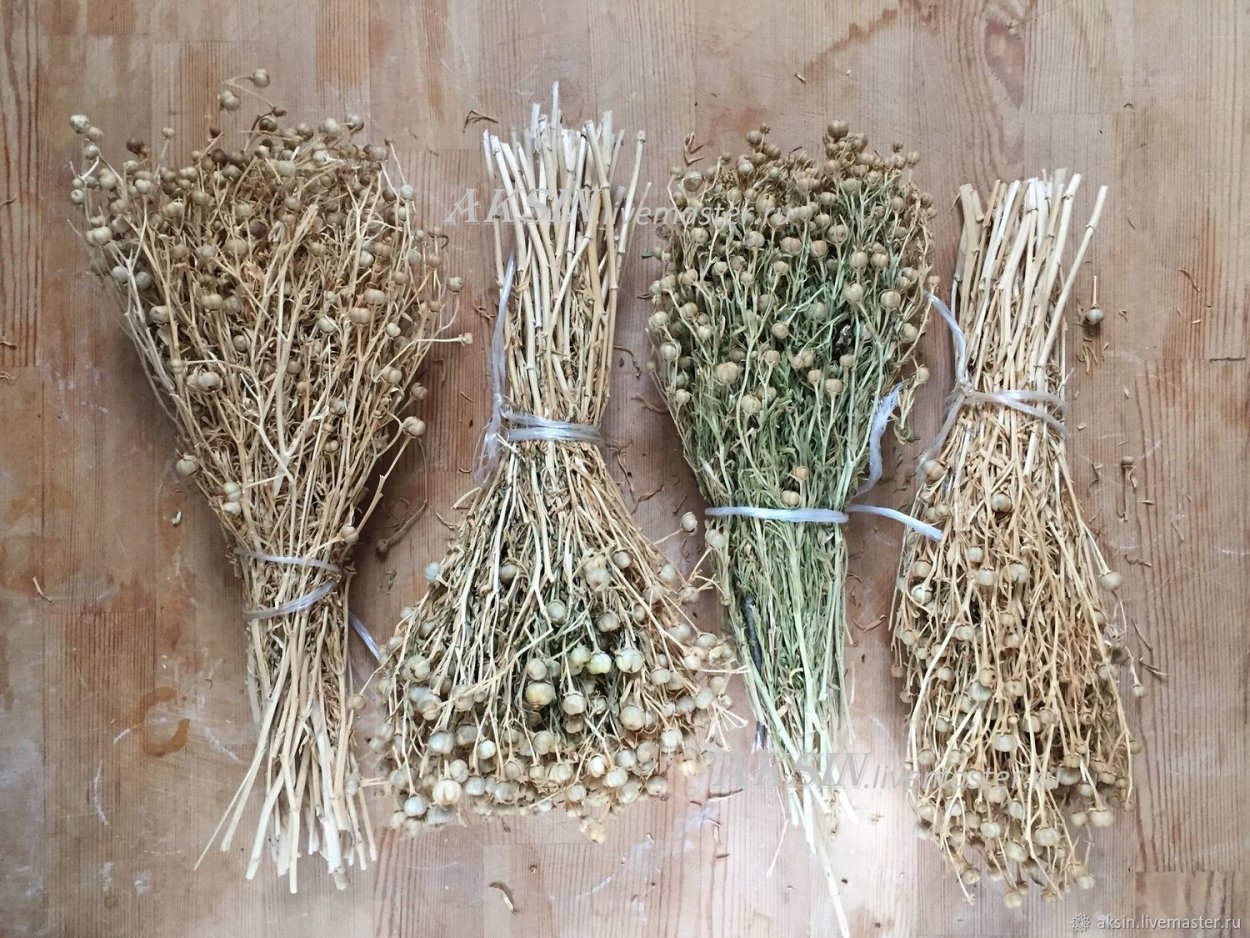 Гармала Исирик