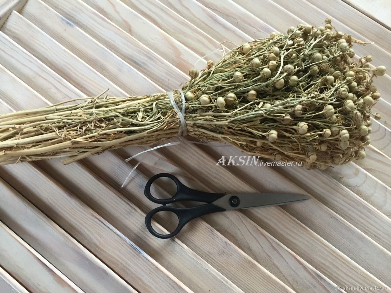 Рута гармала