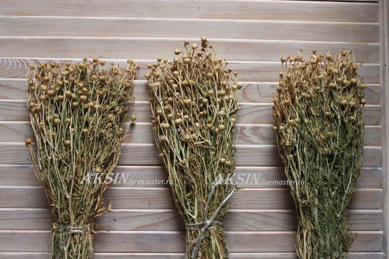 Гармала сушеная