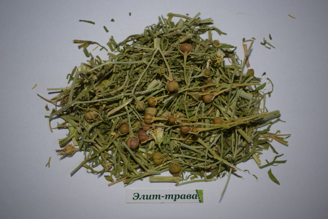 Гармала чернушковая