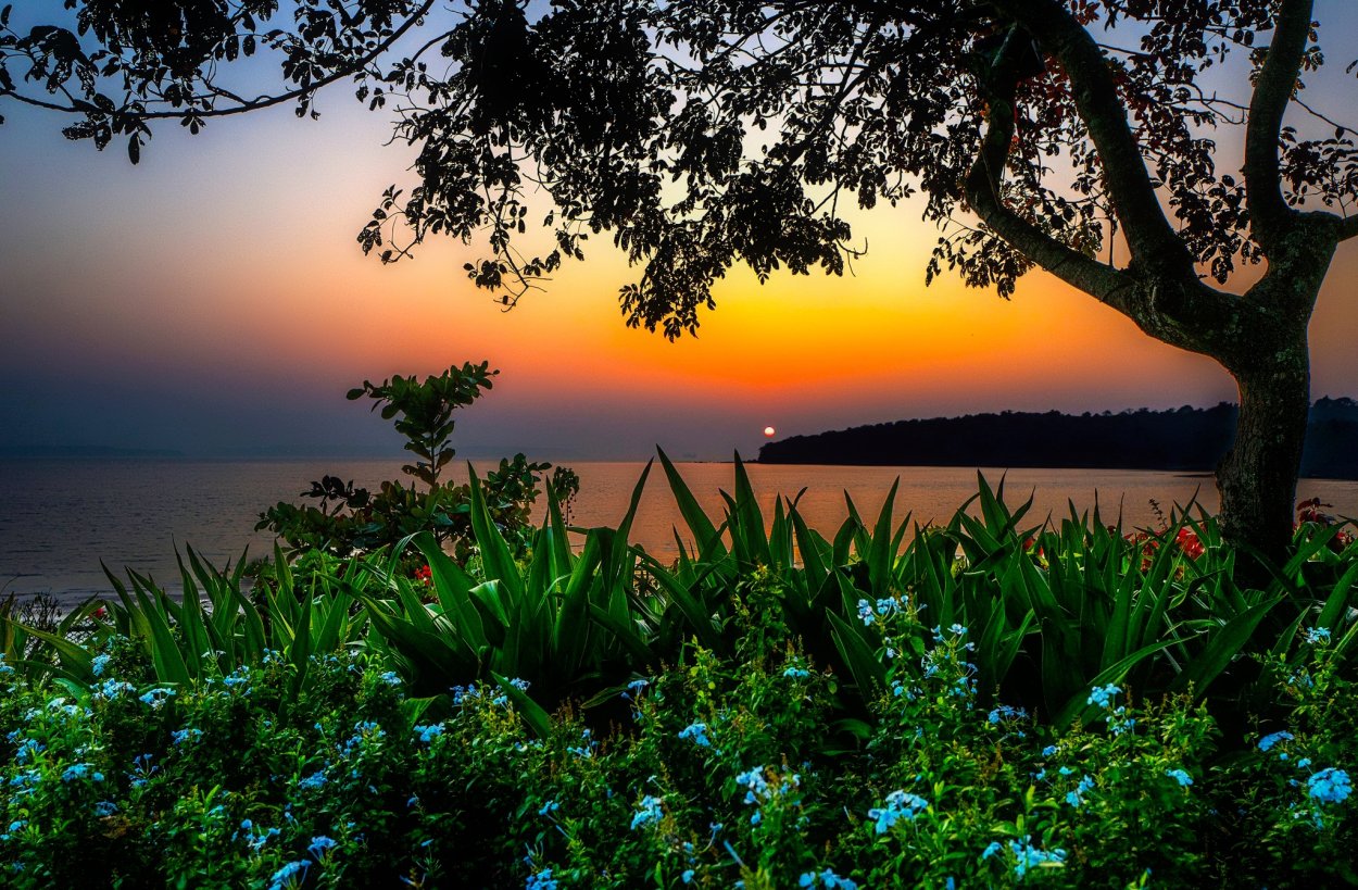 Индия природа