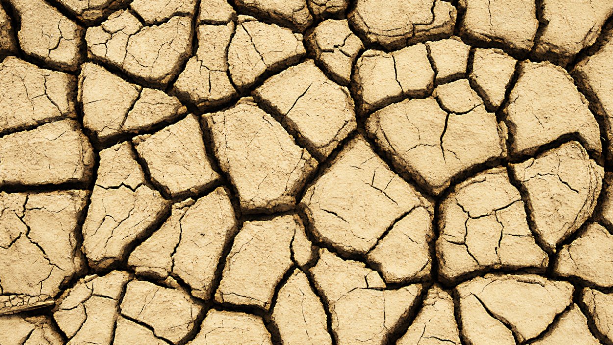 Грунт в разрезе