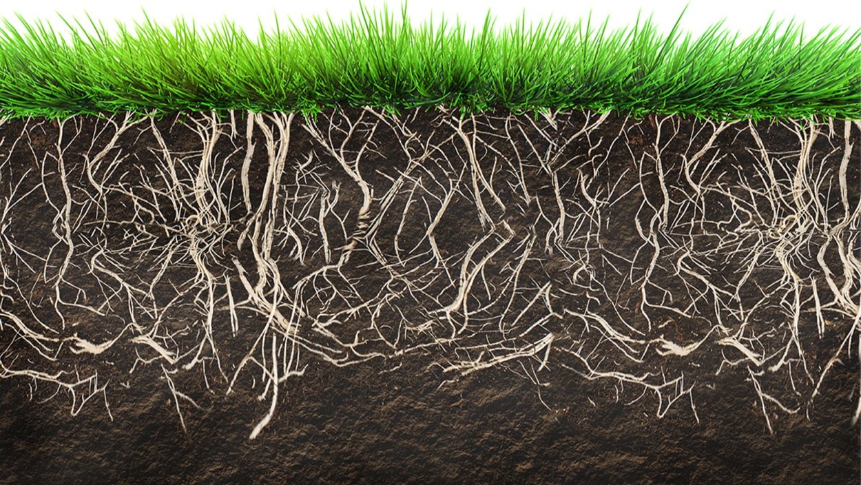 Земля трескается