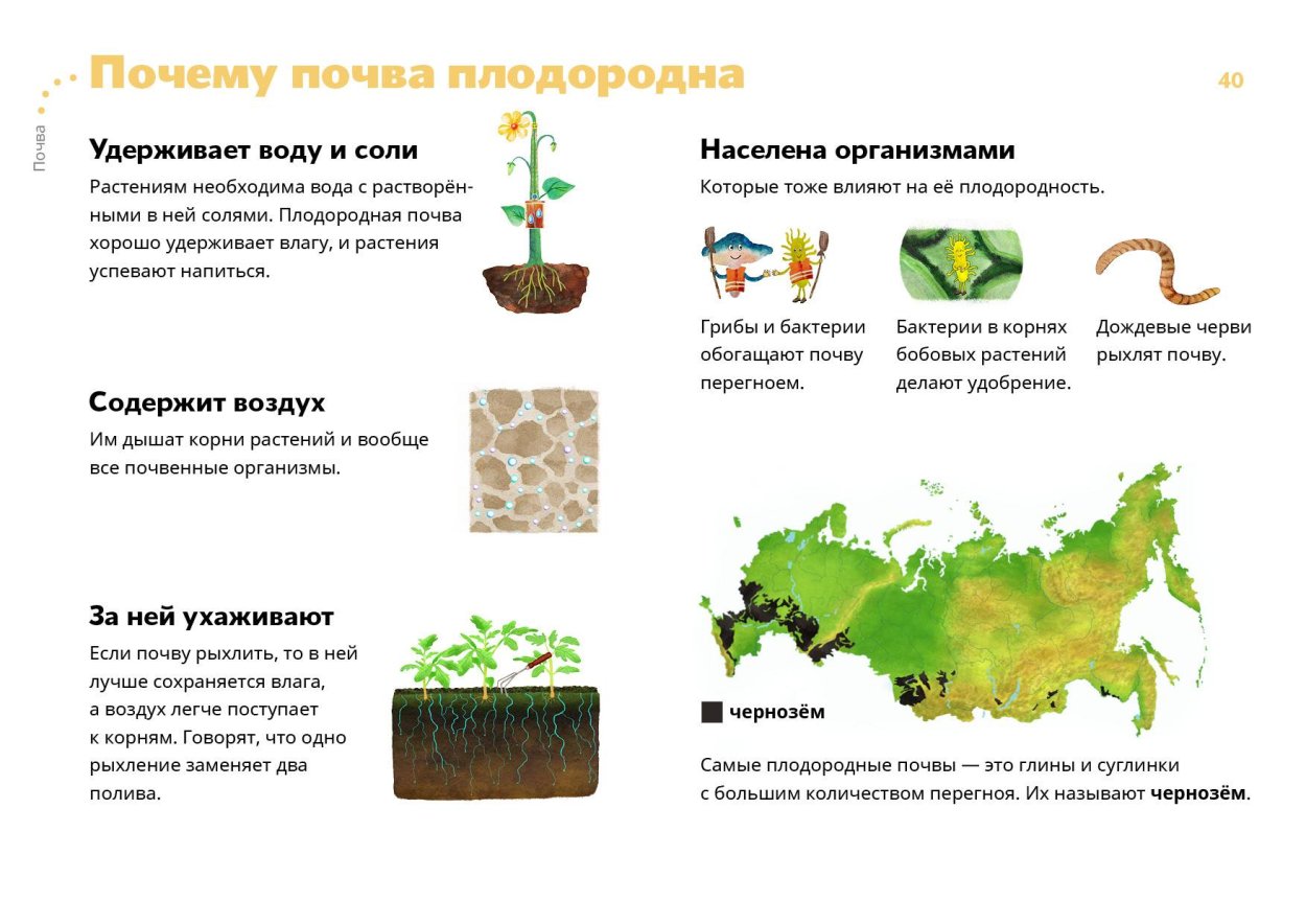 Красно-бурые глины