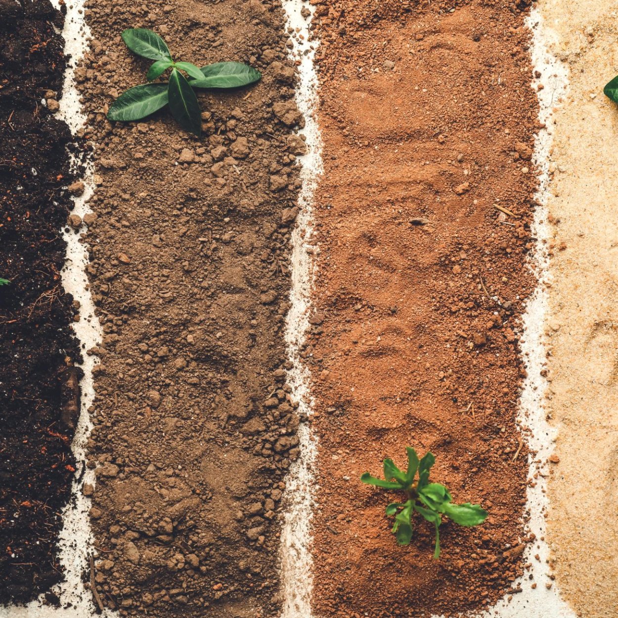 Сухая земля