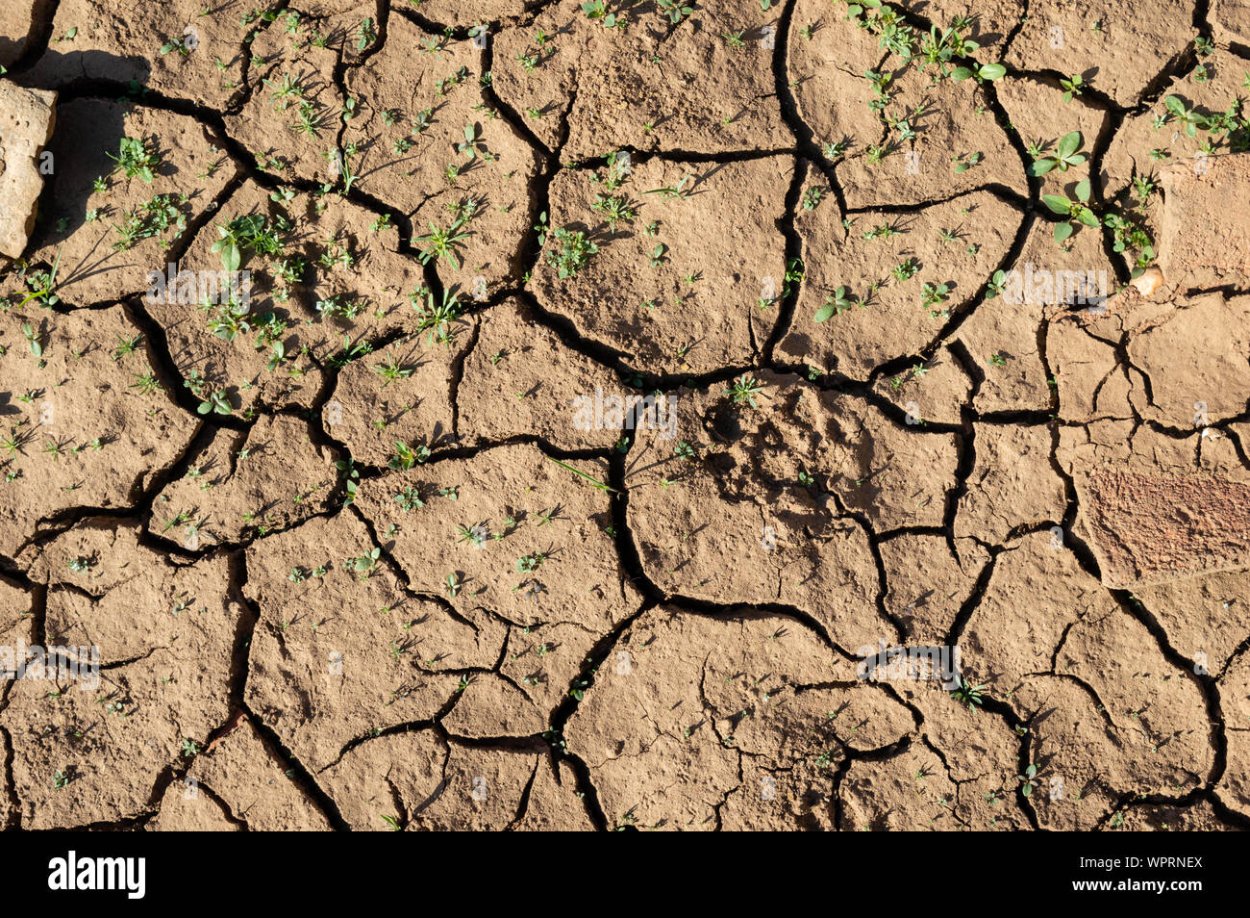 Почва текстура