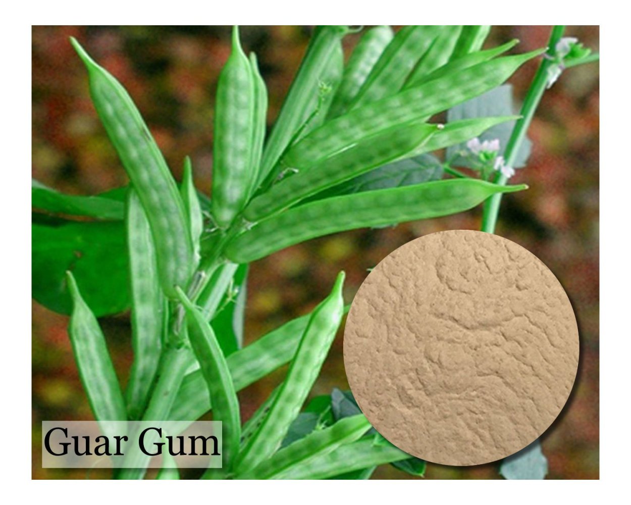 Аветисян Гоар Смбатовна