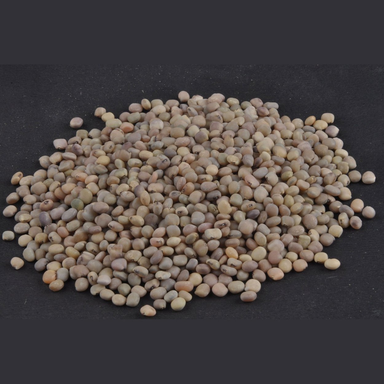 Овощ похожий на фасоль