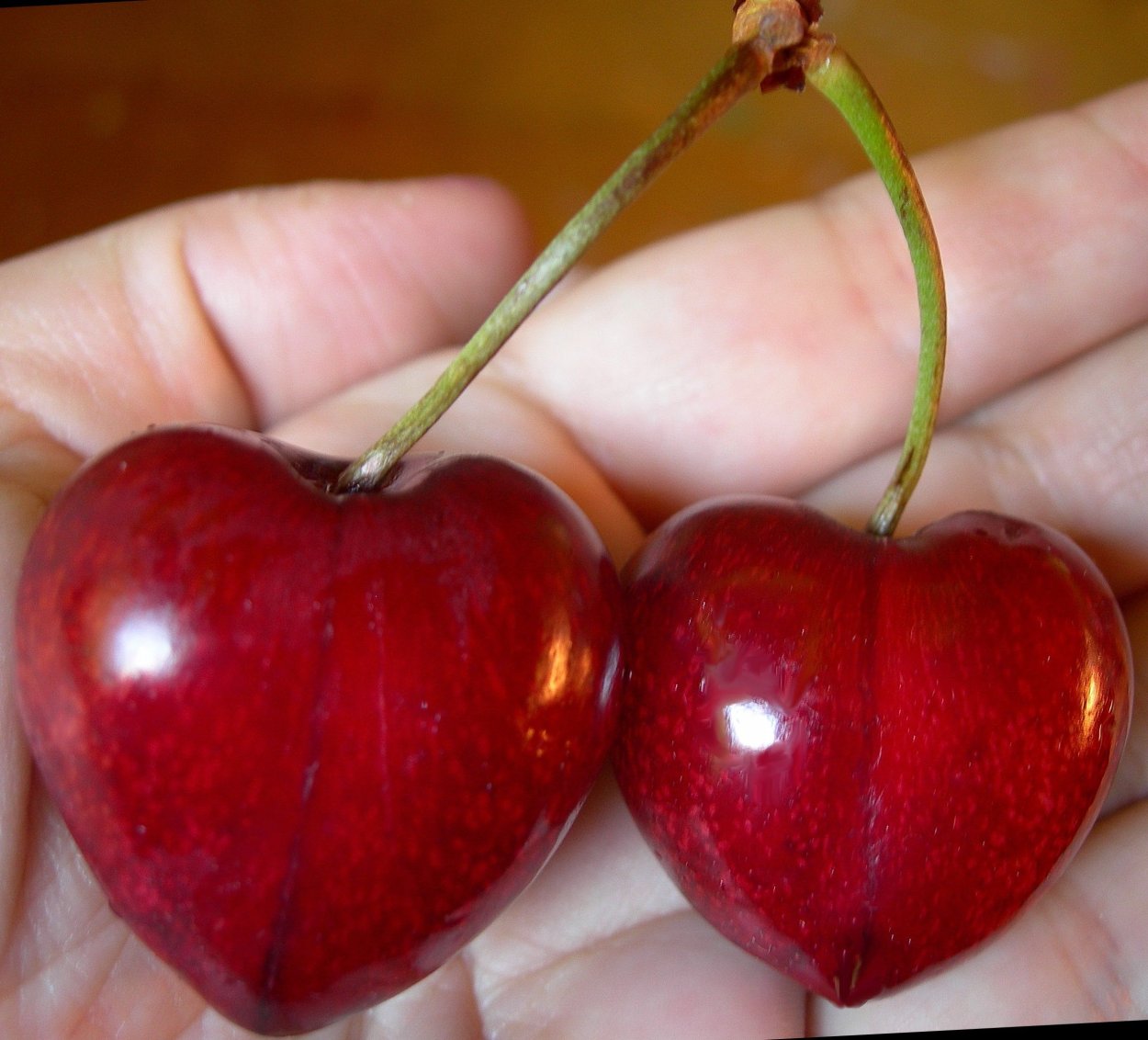 Черешня Валерий Чкалов