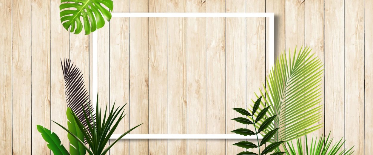 Цикл развития мха Кукушкин лен