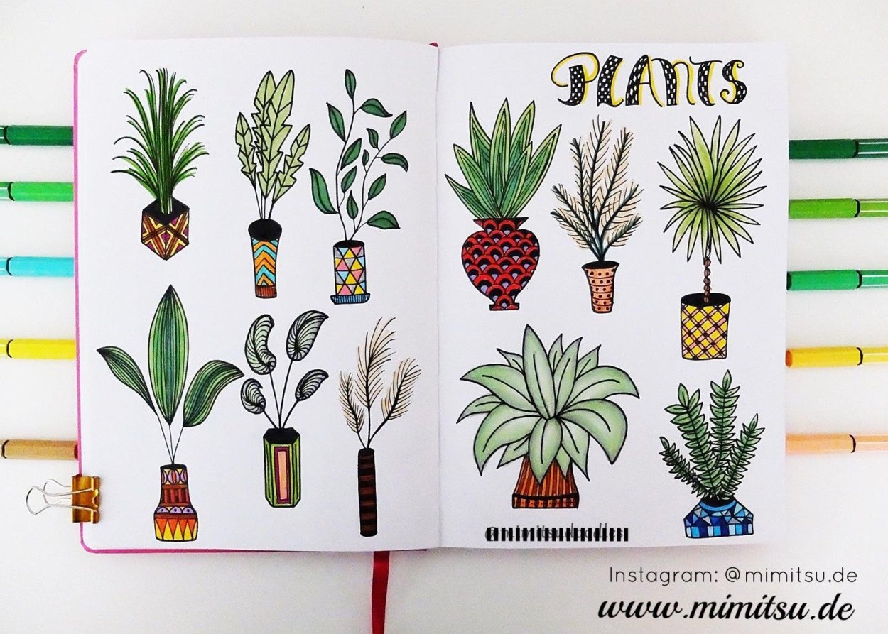 Гаметофит хвоща