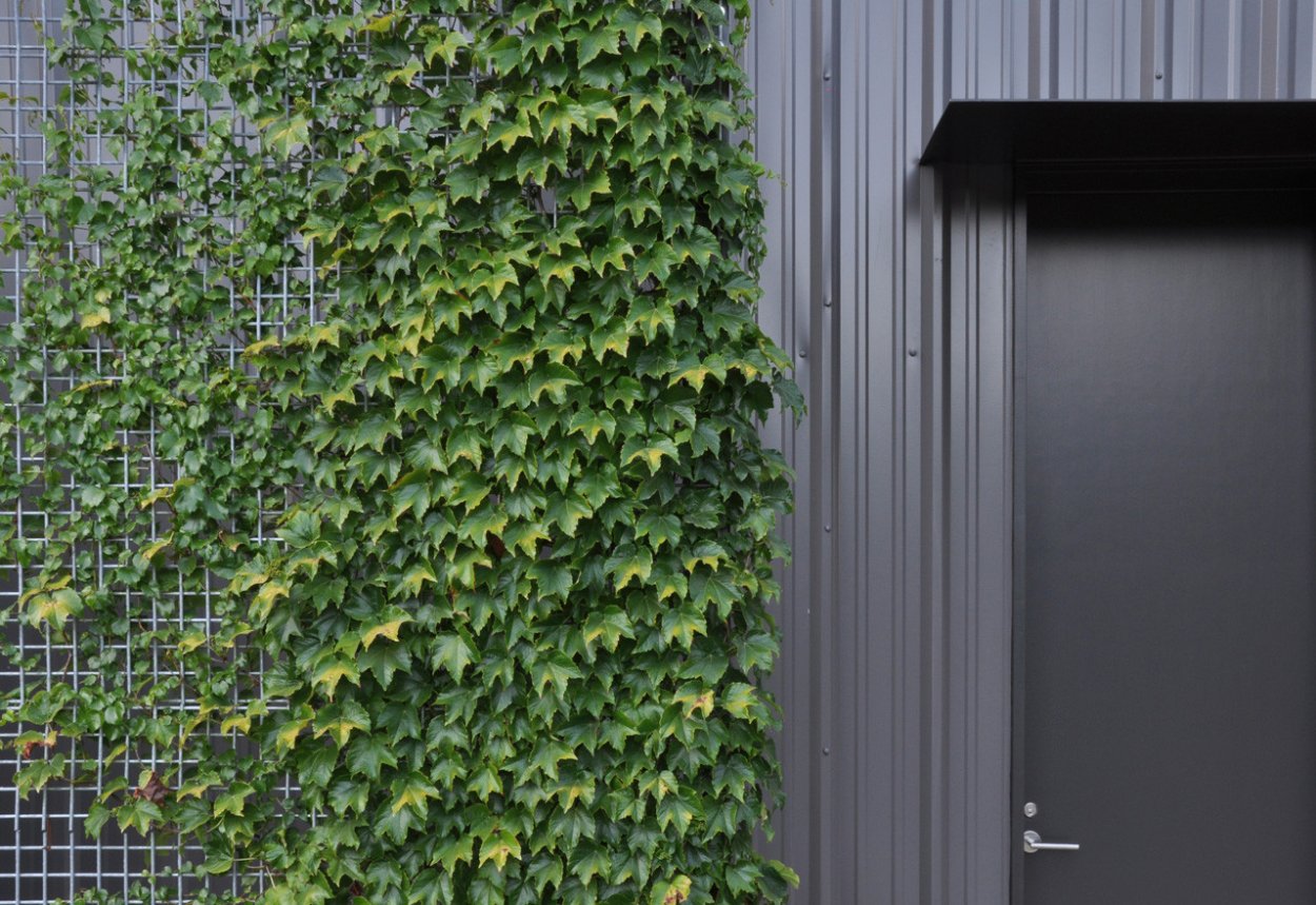 Кирпичная стена с растениями