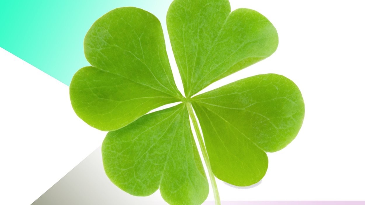 Красный Клевер логотип