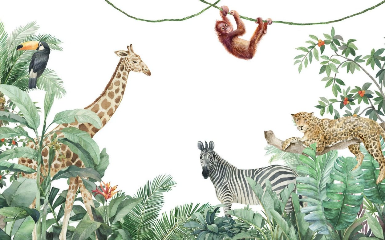 Бразилия тропические леса Сельва