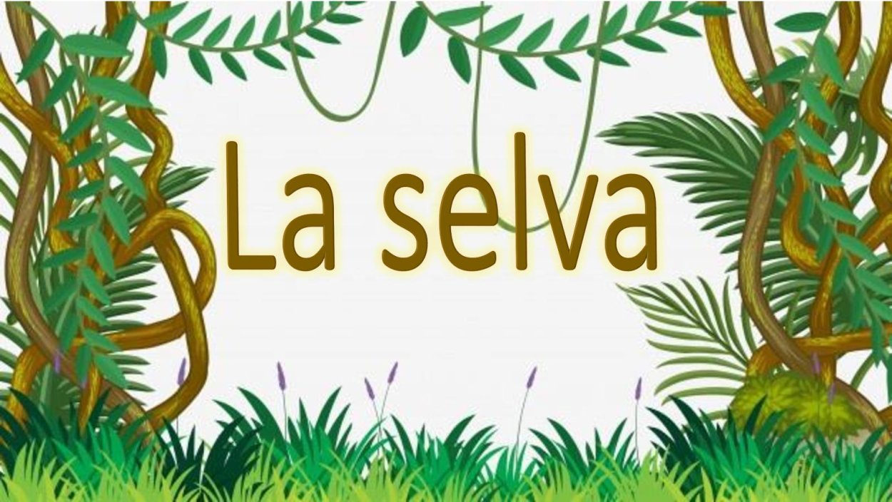 Тропики (арт. A09), Mondeco