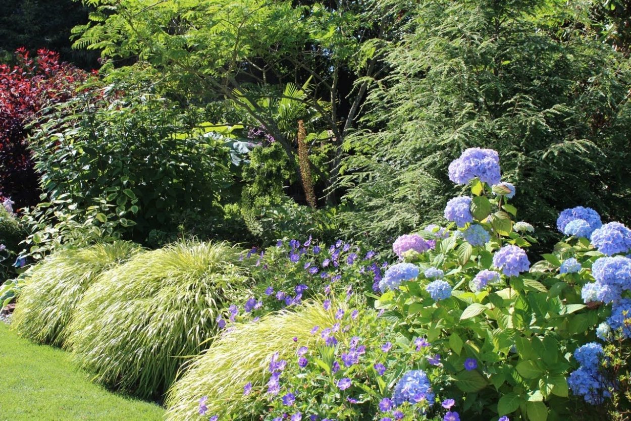 Двухуровневые миксбордеры