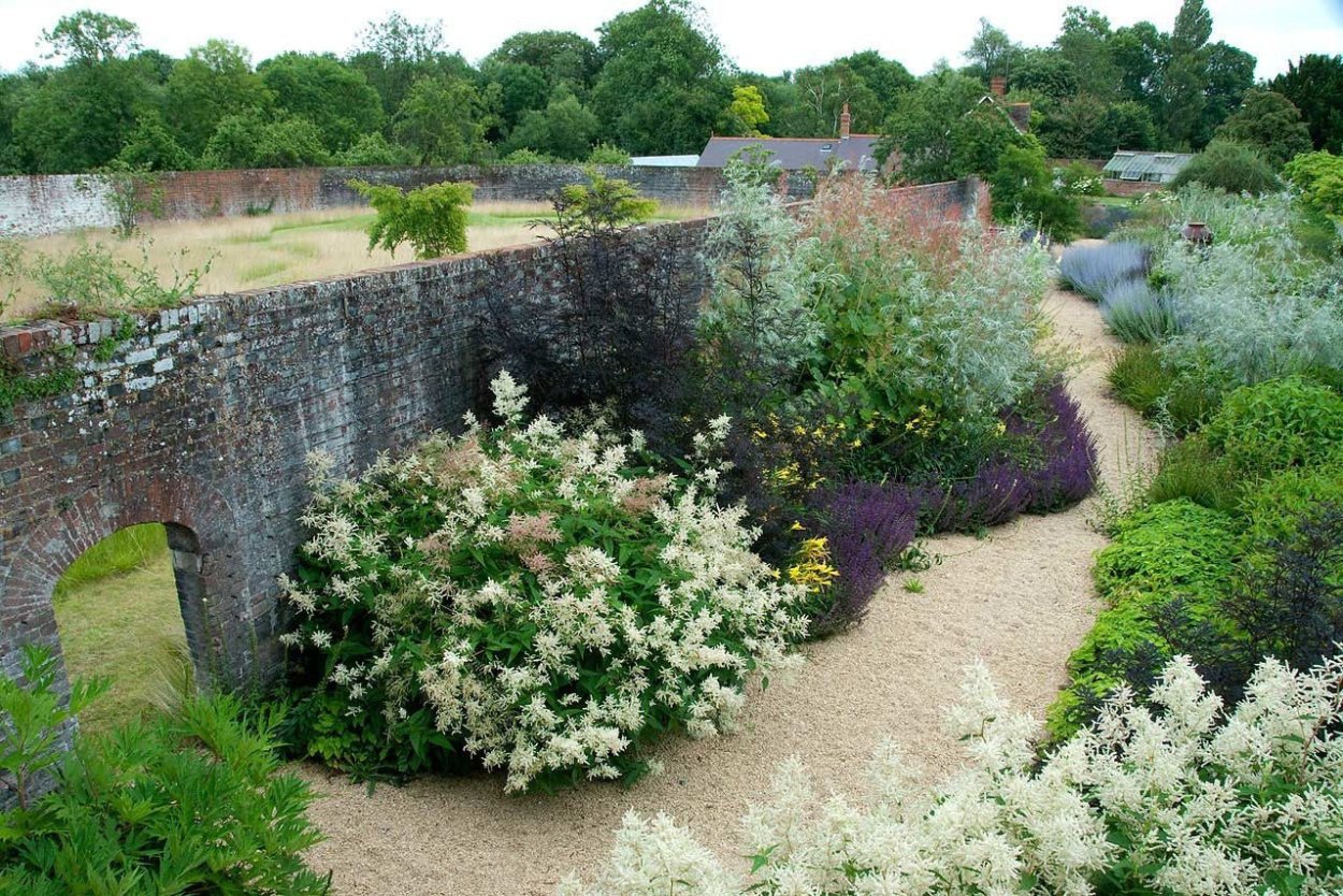 Андромеда многолистная