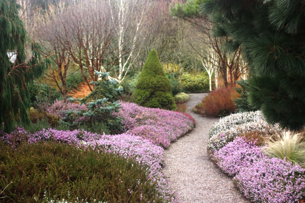 Огородный миксбордер