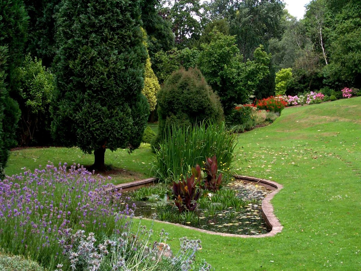 Пит Удольф можжевельник