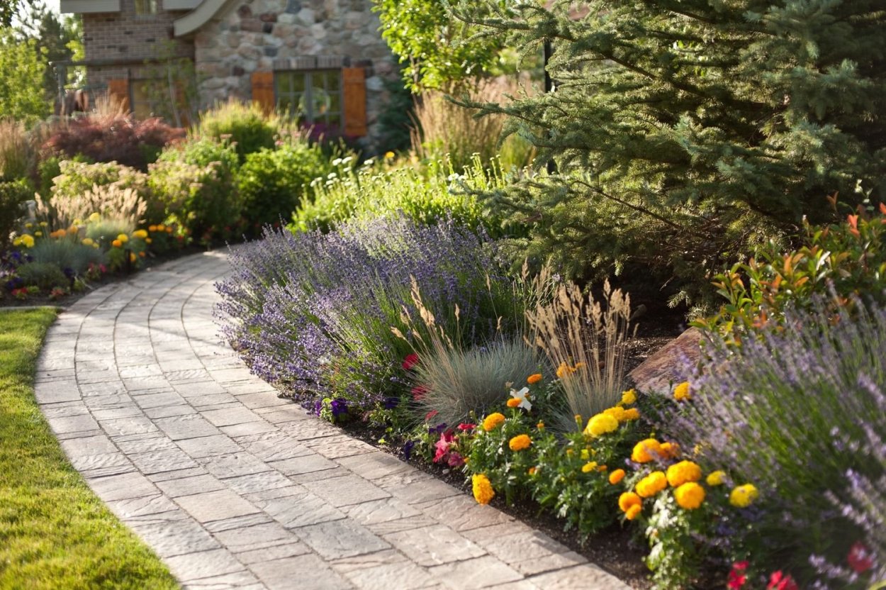 Миксбордер Хайди Клум