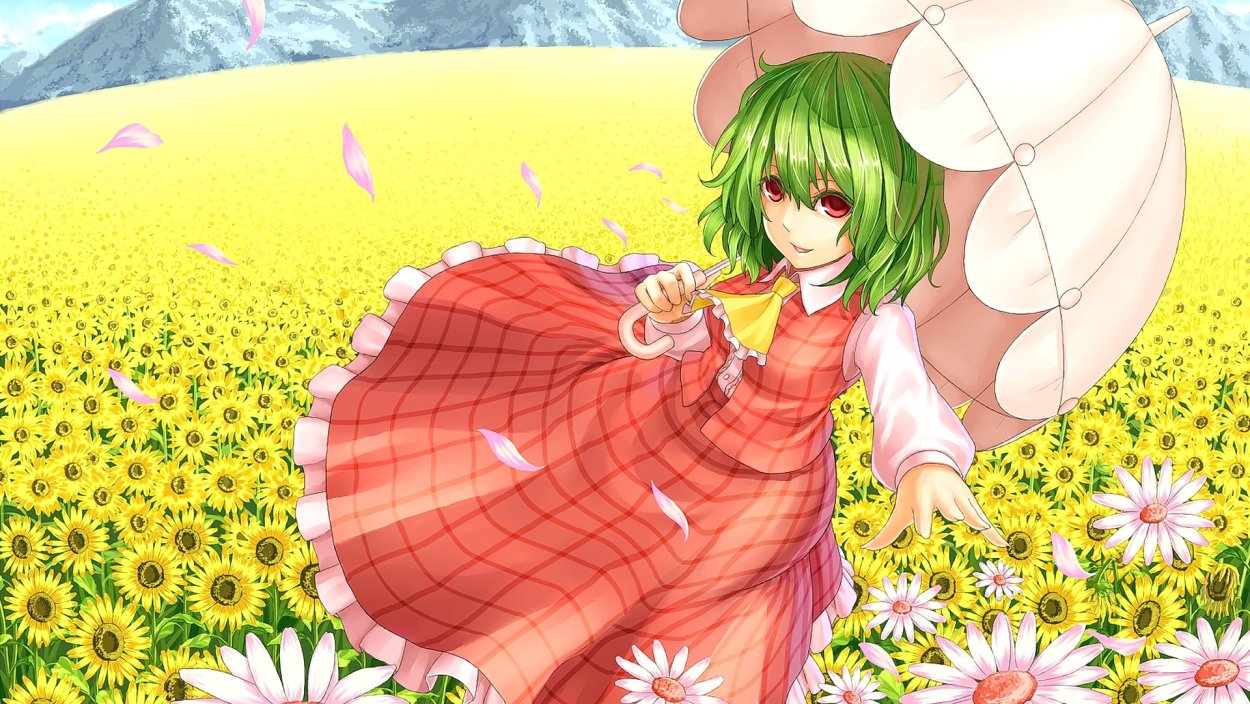 Kazami Yuuka поле