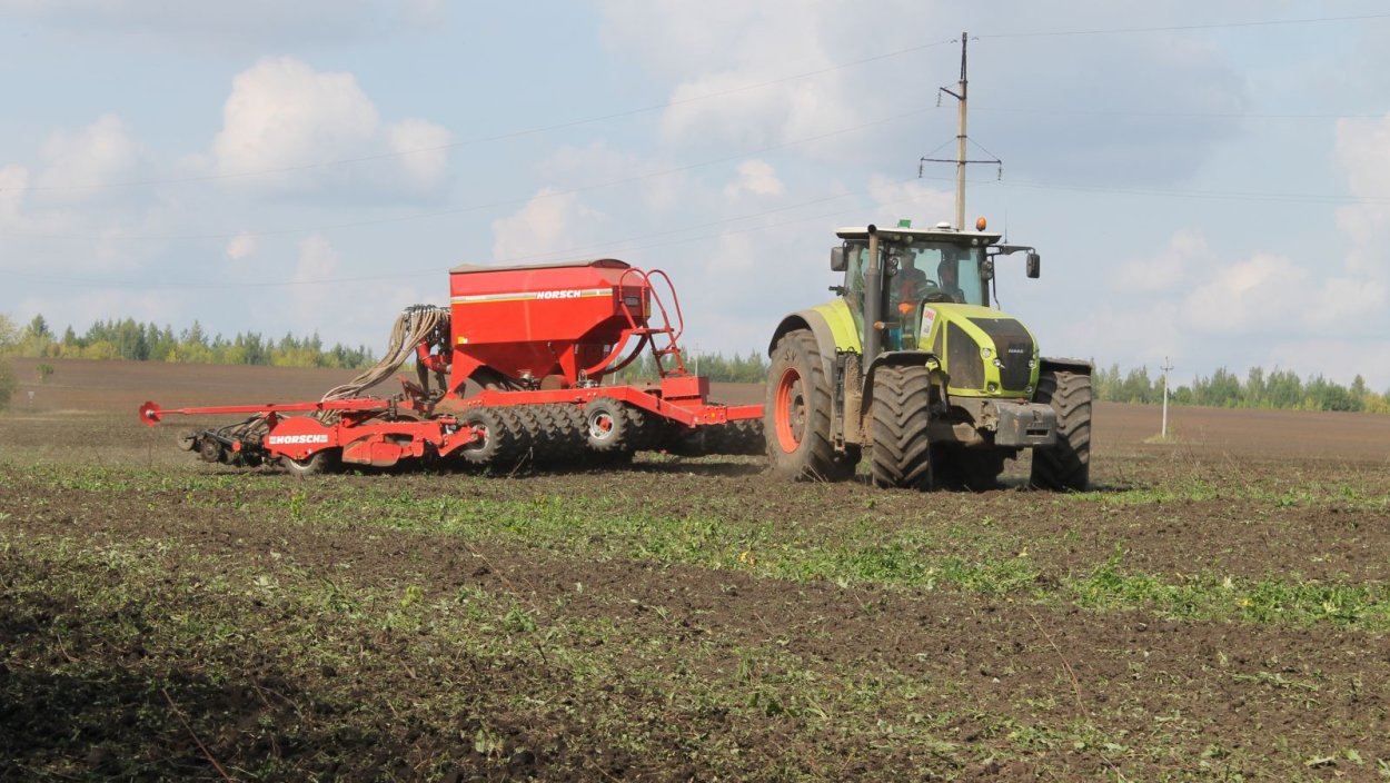 Озимые культуры