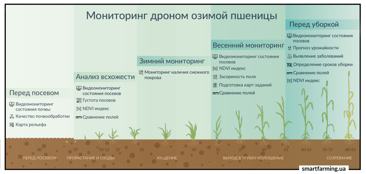 Сев озимых культур