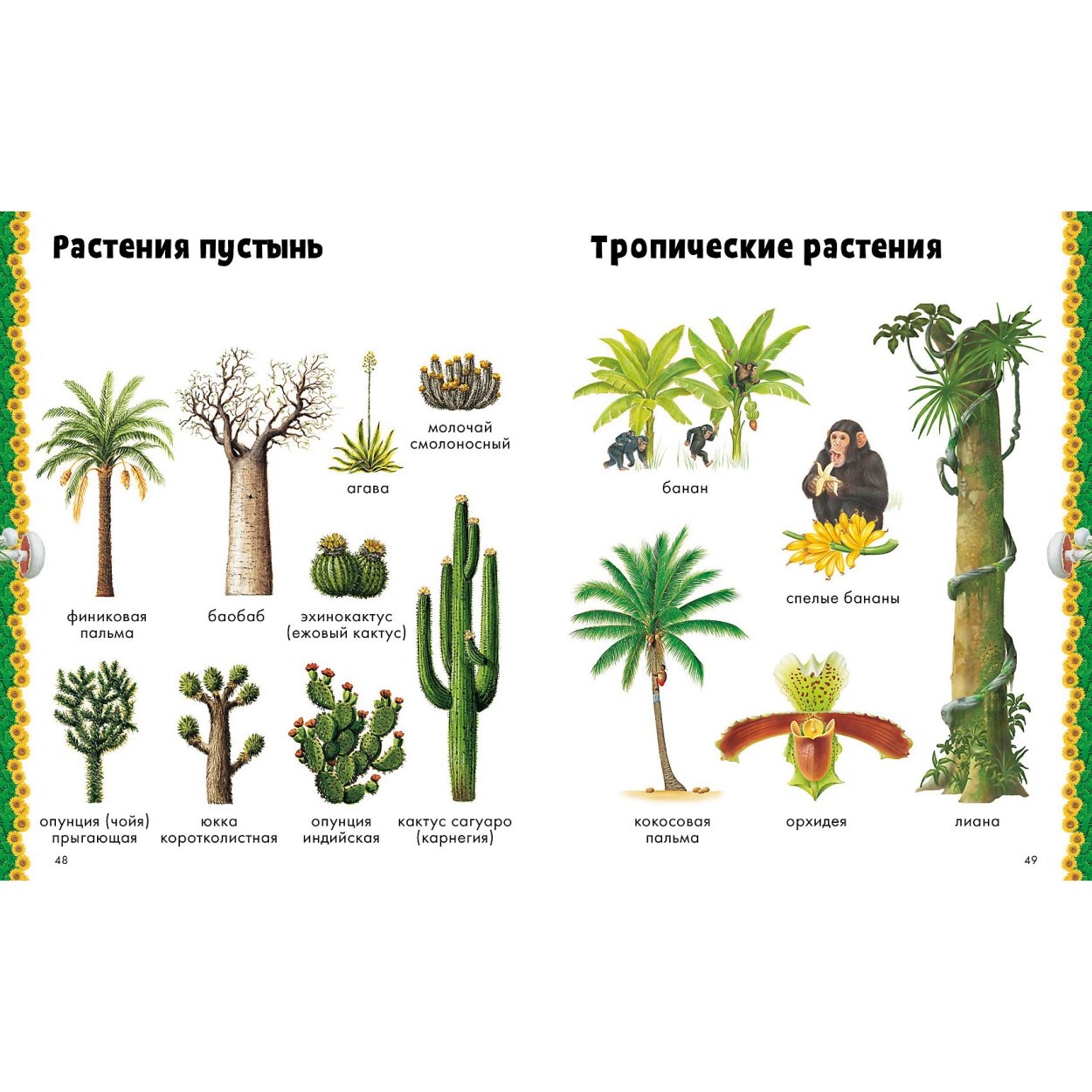 Природа. Визуальная энциклопедия