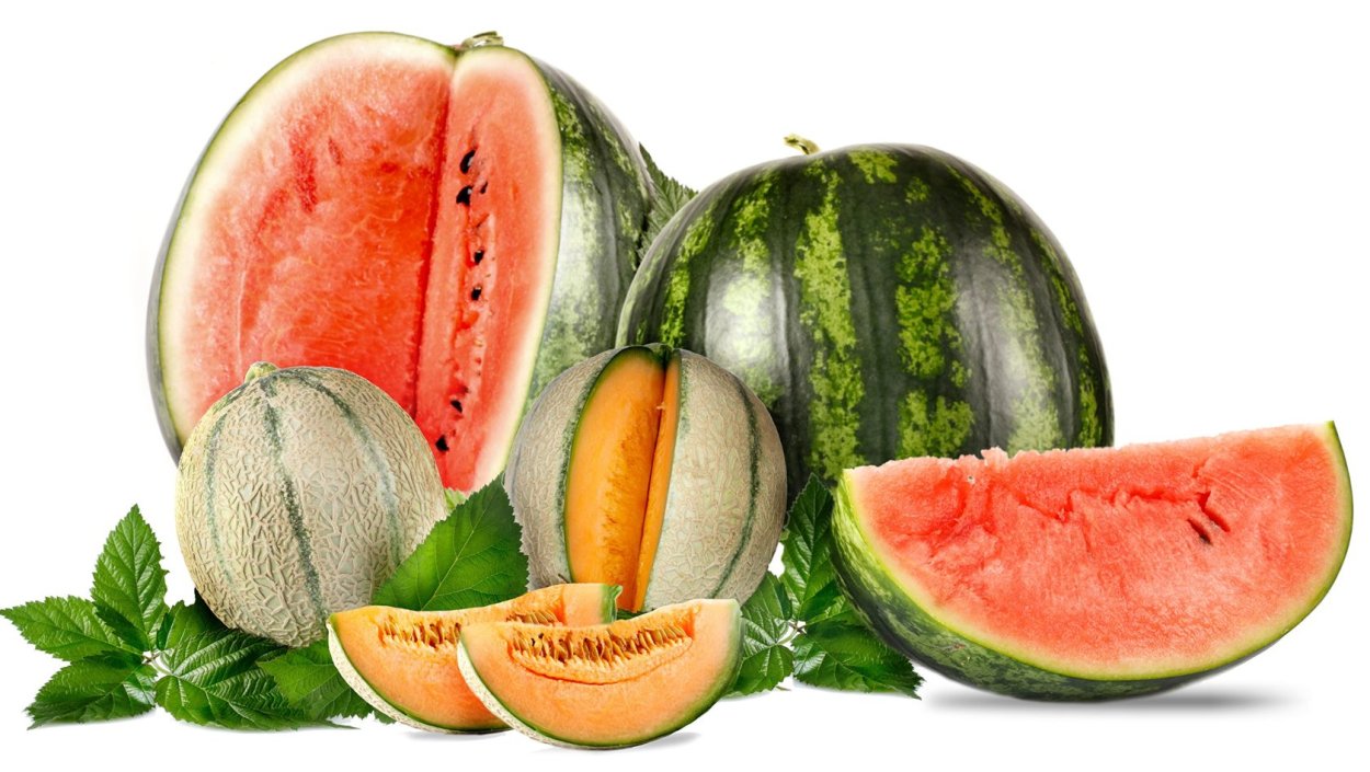 Папайя дыни арбузы