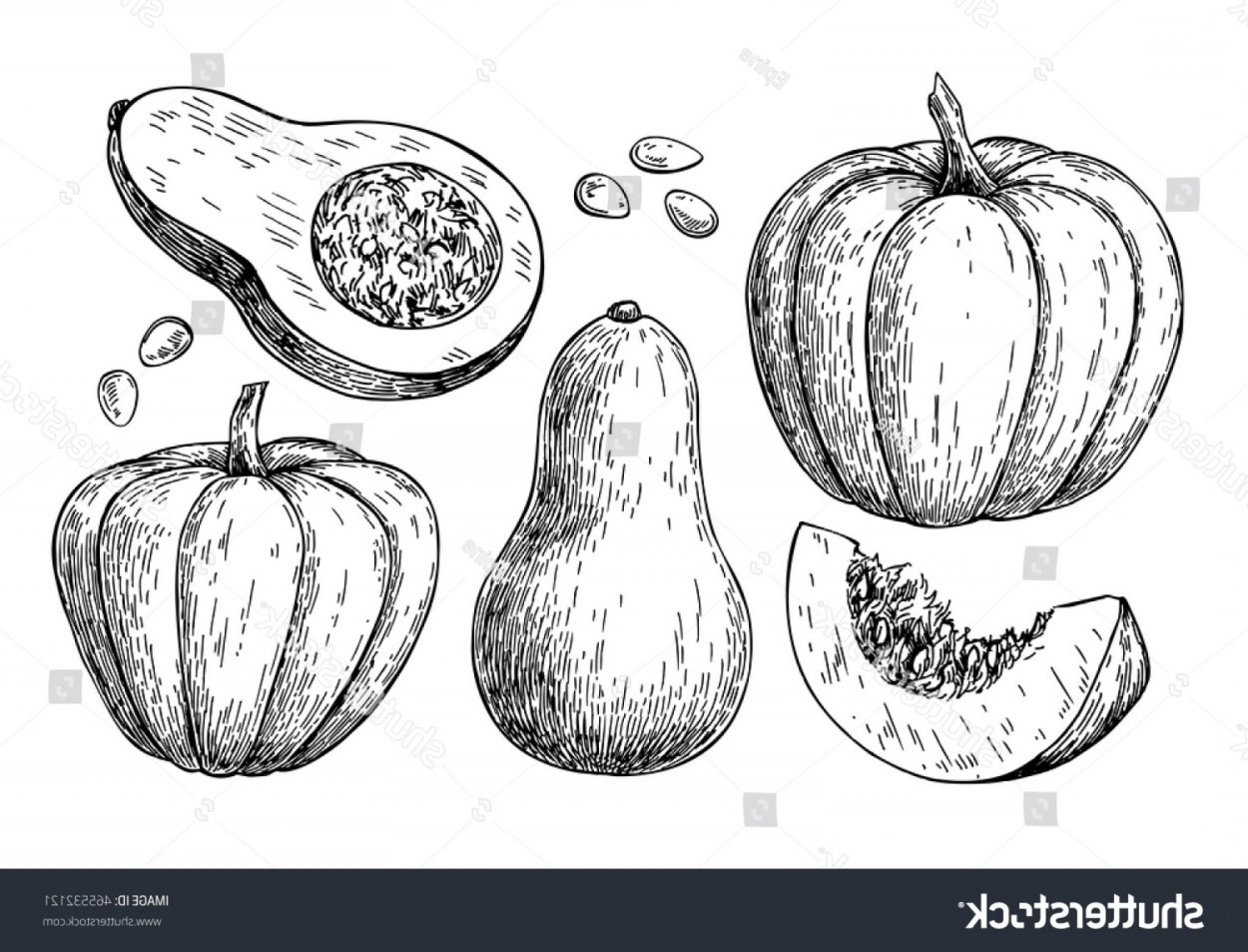 Тыква в разрезе